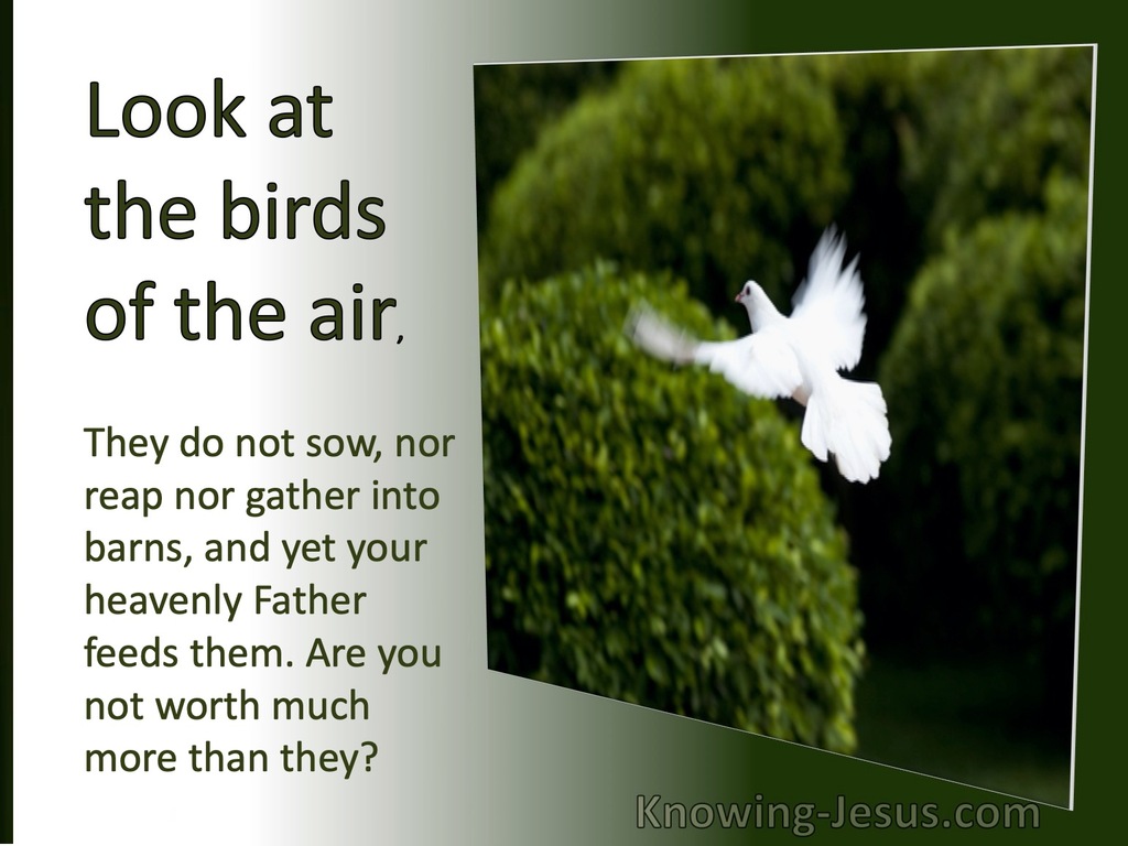 Matthew 6:26 Look At The Fowls of The Air (silver)  